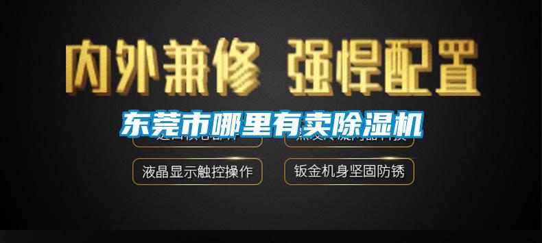 东莞市哪里有卖香蕉视频国产APP下载机