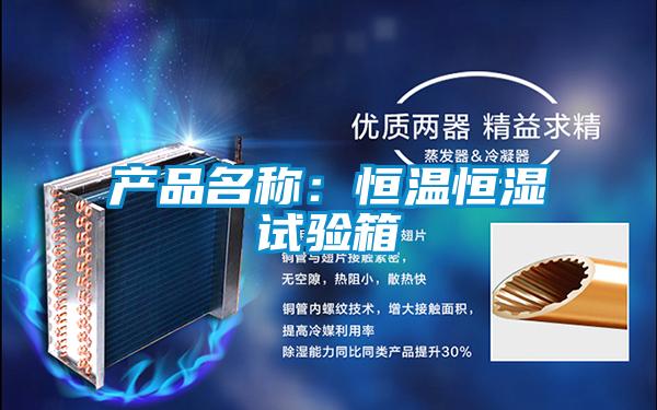产品名称：恒温恒湿试验箱