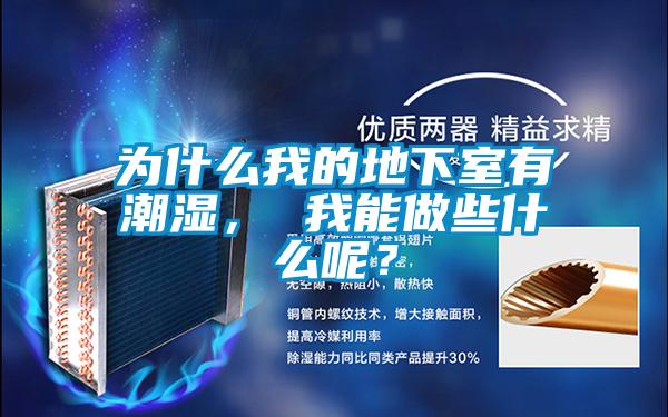 为什么我的地下室有潮湿， 我能做些什么呢？
