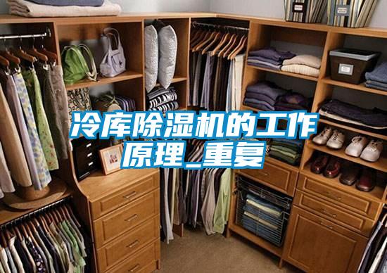冷库香蕉视频国产APP下载机的工作原理_重复