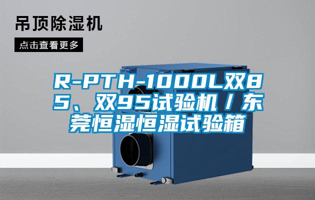 R-PTH-1000L双85、双95试验机／东莞恒湿恒湿试验箱