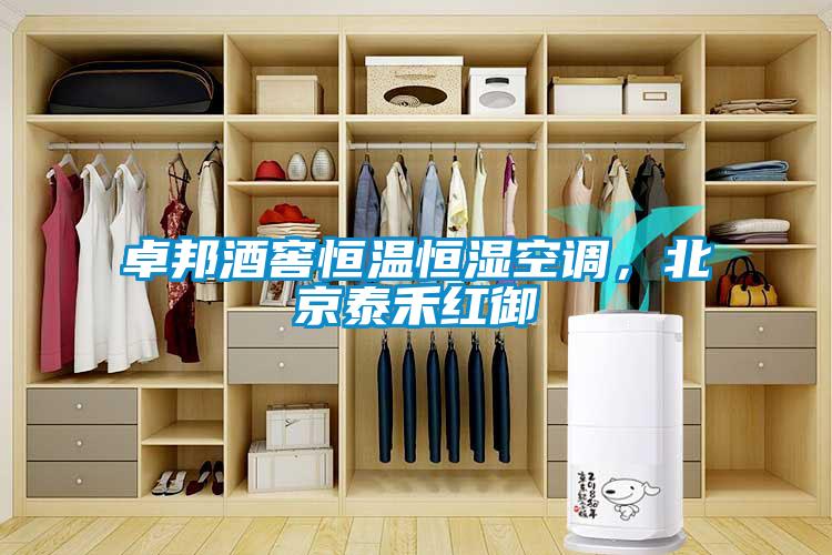 卓邦酒窖恒温恒湿空调，北京泰禾红御