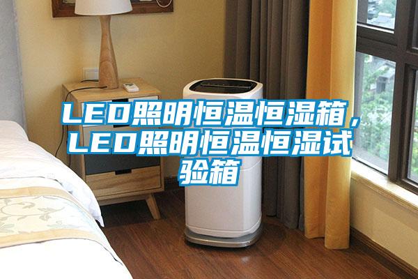 LED照明恒温恒湿箱，LED照明恒温恒湿试验箱