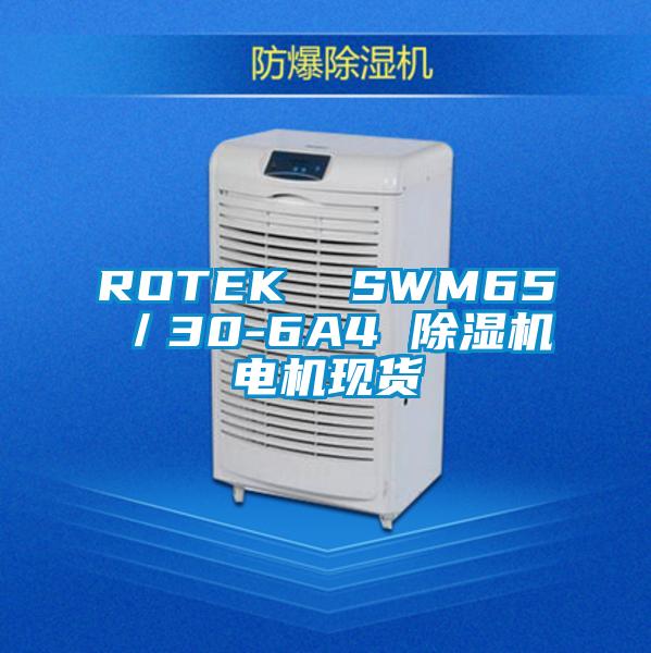 ROTEK  SWM65／30-6A4 香蕉视频国产APP下载机电机现货