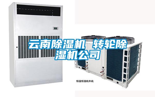 云南香蕉视频国产APP下载机 转轮香蕉视频国产APP下载机公司