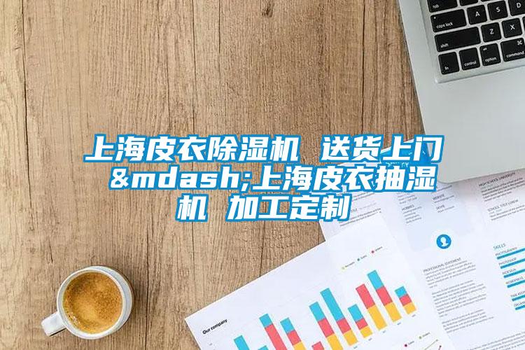 上海皮衣香蕉视频国产APP下载机 送货上门 —上海皮衣抽湿机 加工定制