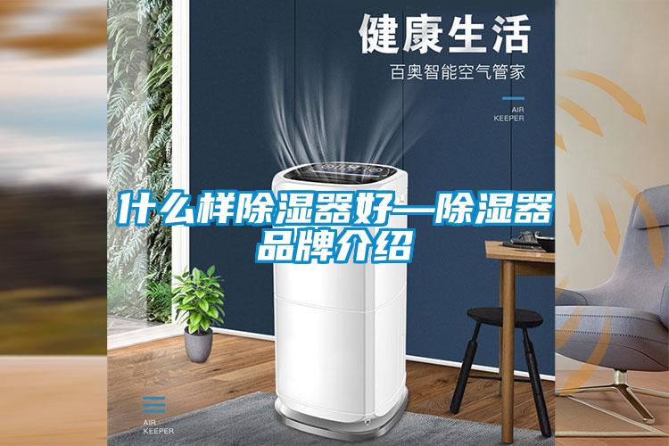 什么样香蕉视频国产APP下载器好—香蕉视频国产APP下载器品牌介绍