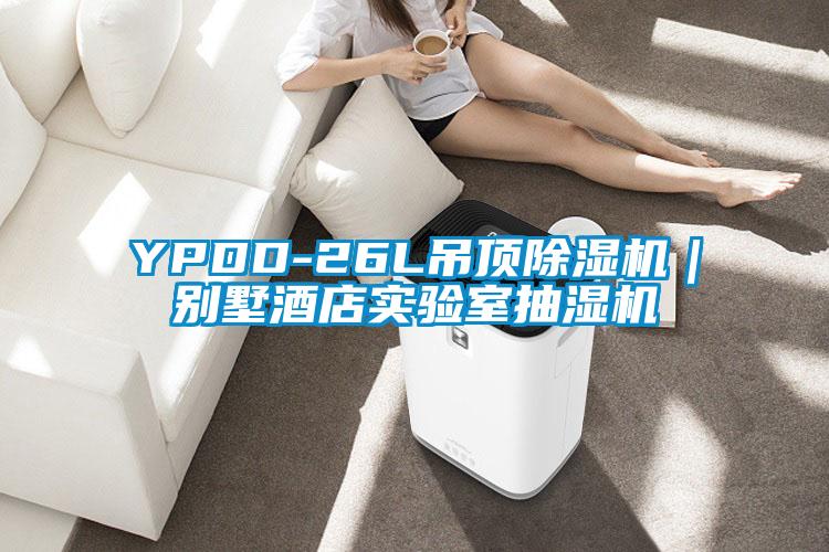 YPDD-26L吊顶香蕉视频国产APP下载机｜别墅酒店实验室抽湿机