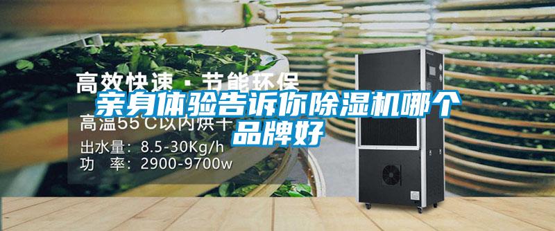 亲身体验告诉你香蕉视频国产APP下载机哪个品牌好