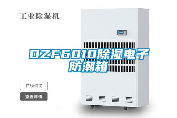 DZF6010香蕉视频国产APP下载电子防潮箱