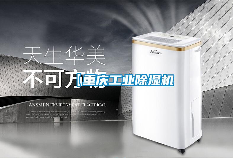 【重庆工业香蕉视频国产APP下载机