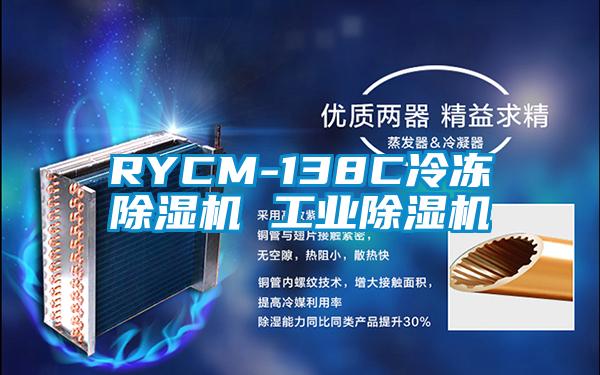 RYCM-138C冷冻香蕉视频国产APP下载机 工业香蕉视频国产APP下载机