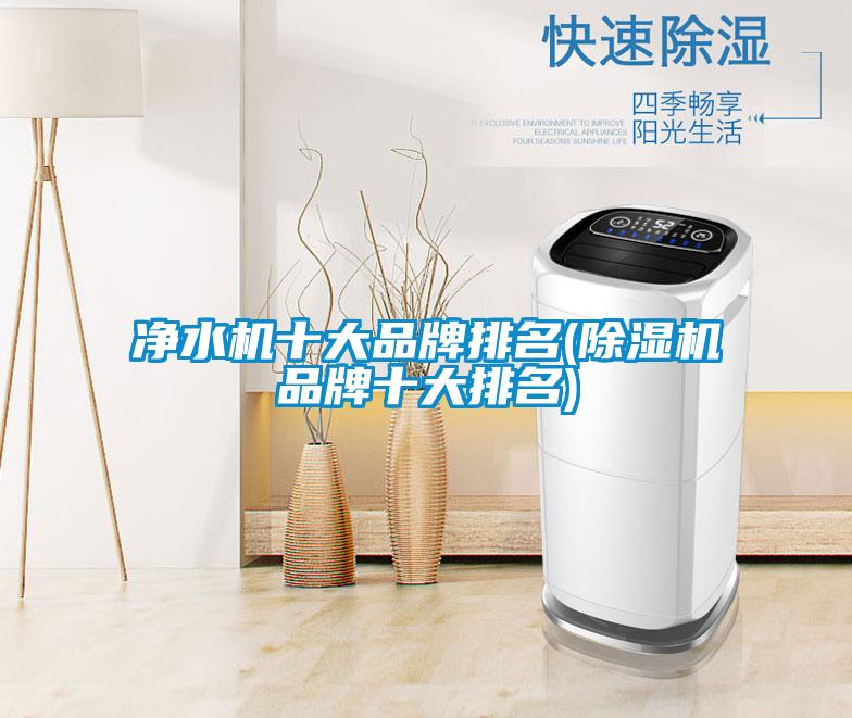 净水机十大品牌排名(香蕉视频国产APP下载机品牌十大排名)