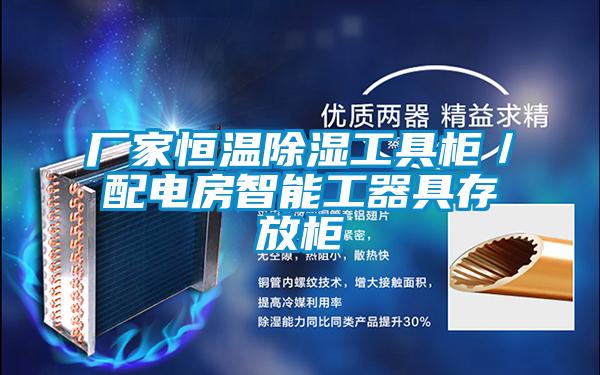 厂家恒温香蕉视频国产APP下载工具柜／配电房智能工器具存放柜