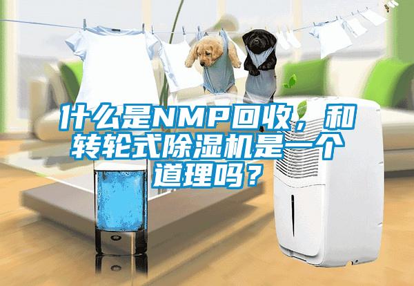 什么是NMP回收，和转轮式香蕉视频国产APP下载机是一个道理吗？