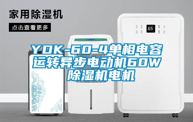 YDK-60-4单相电容运转异步电动机60W 香蕉视频国产APP下载机电机