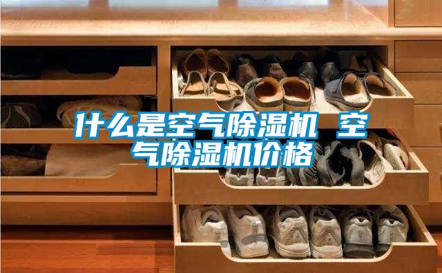 什么是空气香蕉视频国产APP下载机 空气香蕉视频国产APP下载机价格