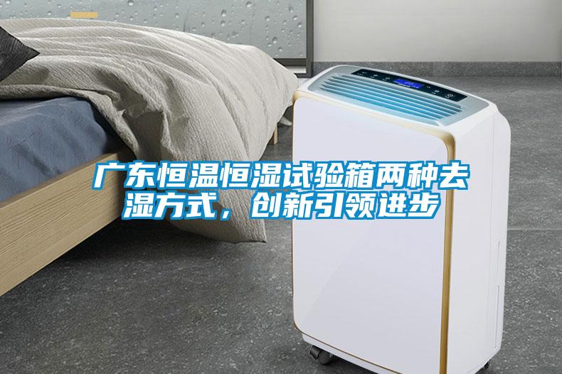 广东恒温恒湿试验箱两种去湿方式，创新引领进步