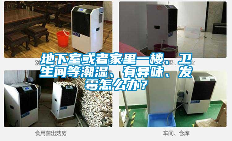 地下室或者家里一楼、卫生间等潮湿、有异味、发霉怎么办？