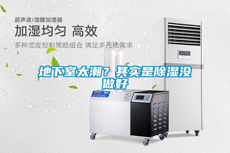 地下室太潮？其实是香蕉视频国产APP下载没做好