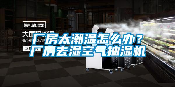 厂房太潮湿怎么办？厂房去湿空气抽湿机