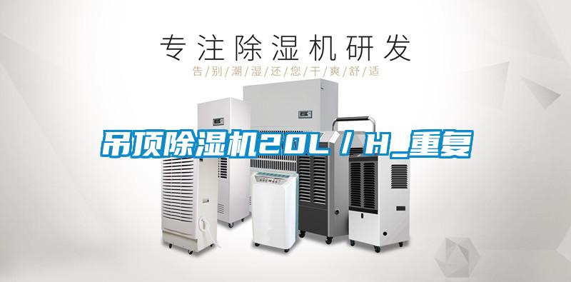 吊顶香蕉视频国产APP下载机20L／H_重复