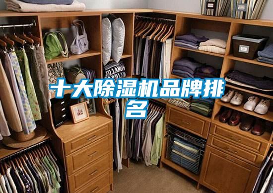 十大香蕉视频国产APP下载机品牌排名