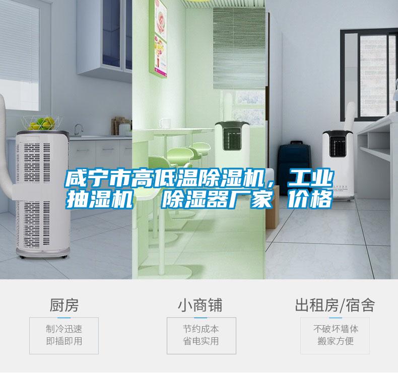 咸宁市高低温香蕉视频国产APP下载机，工业抽湿机  香蕉视频国产APP下载器厂家 价格