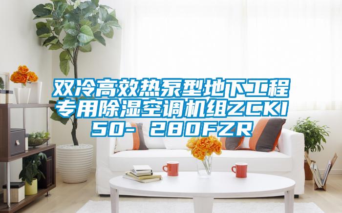 双冷高效热泵型地下工程专用香蕉视频国产APP下载空调机组ZCKI50- 280FZR