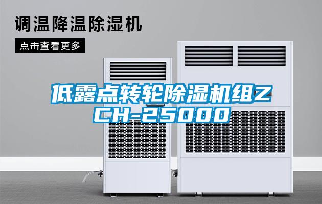 低露点转轮香蕉视频国产APP下载机组ZCH-25000