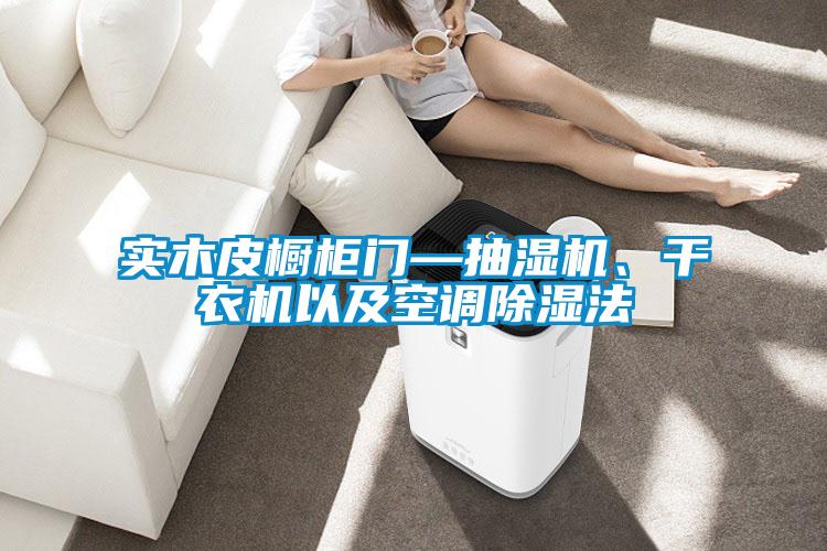 实木皮橱柜门—抽湿机、干衣机以及空调香蕉视频国产APP下载法
