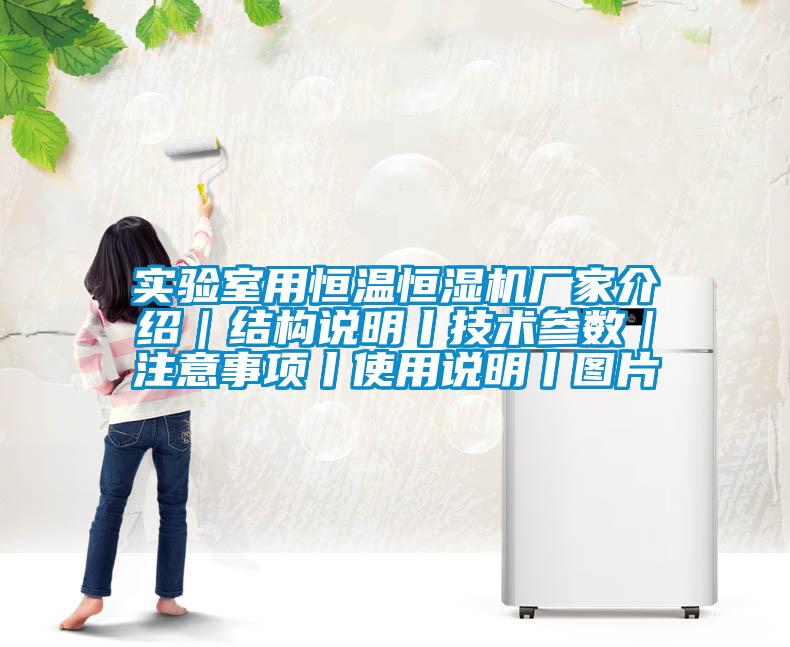 实验室用恒温恒湿机厂家介绍｜结构说明丨技术参数｜注意事项丨使用说明丨图片