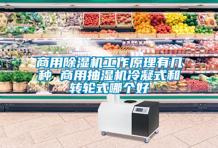 商用香蕉视频国产APP下载机工作原理有几种 商用抽湿机冷凝式和转轮式哪个好
