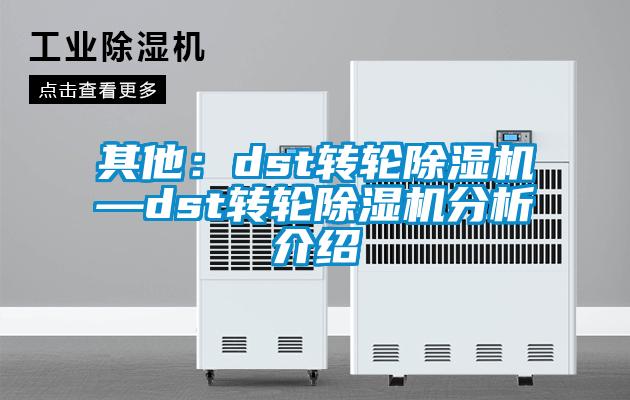 其他：dst转轮香蕉视频国产APP下载机—dst转轮香蕉视频国产APP下载机分析介绍