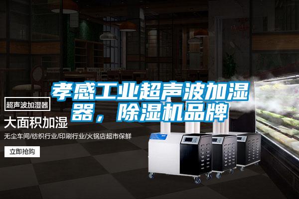孝感工业超声波加湿器，香蕉视频国产APP下载机品牌