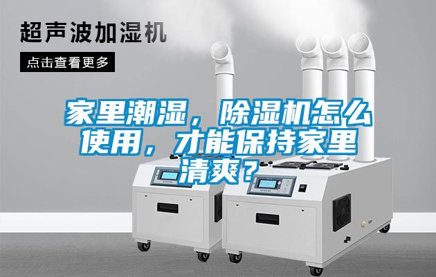 家里潮湿，香蕉视频国产APP下载机怎么使用，才能保持家里清爽？