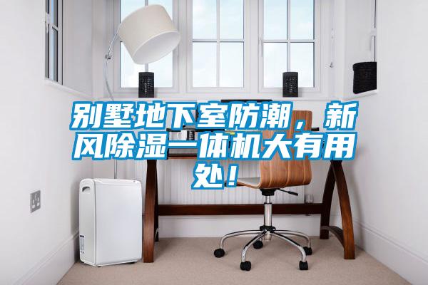 别墅地下室防潮，新风香蕉视频国产APP下载一体机大有用处！