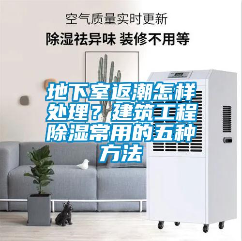 地下室返潮怎样处理？建筑工程香蕉视频国产APP下载常用的五种方法