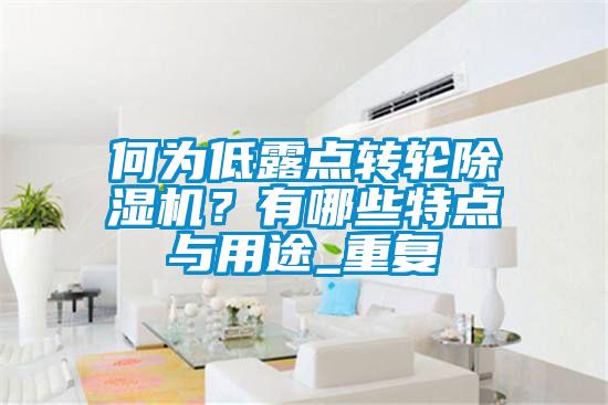 何为低露点转轮香蕉视频国产APP下载机？有哪些特点与用途_重复