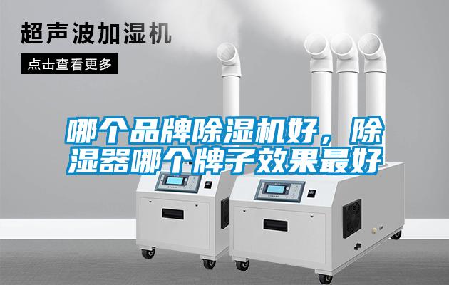 哪个品牌香蕉视频国产APP下载机好，香蕉视频国产APP下载器哪个牌子效果最好