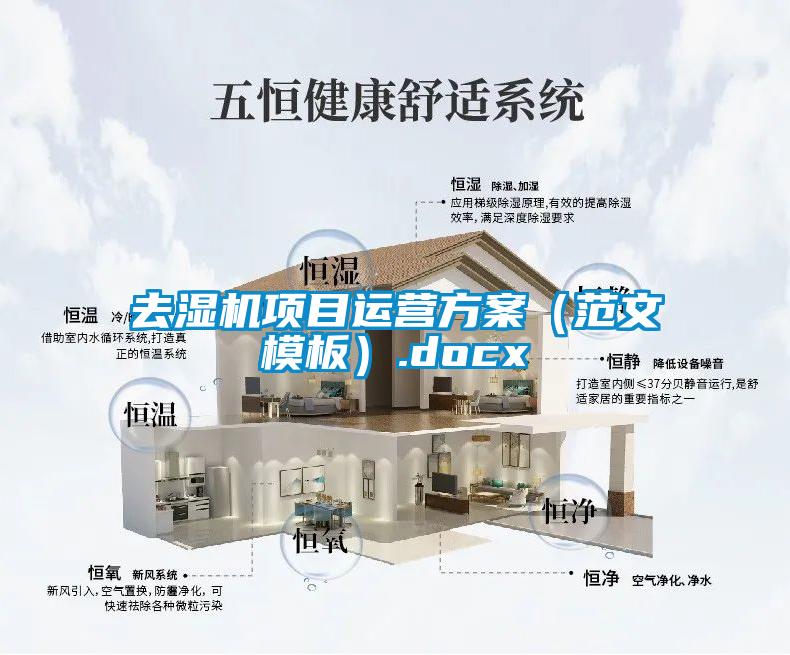 去湿机项目运营午夜香蕉视频（范文模板）.docx