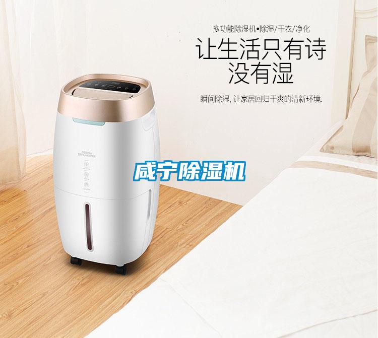 咸宁香蕉视频国产APP下载机