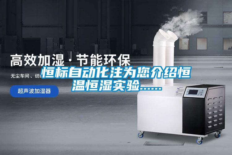 恒标自动化注为您介绍恒温恒湿实验......