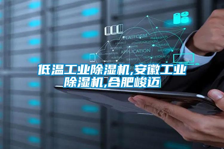 低温工业香蕉视频国产APP下载机,安徽工业香蕉视频国产APP下载机,合肥峻迈