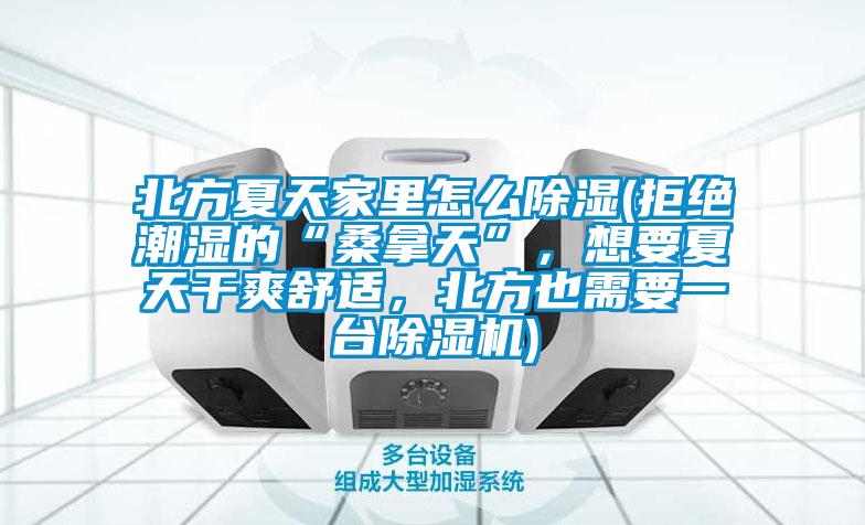 北方夏天家里怎么香蕉视频国产APP下载(拒绝潮湿的“桑拿天”，想要夏天干爽舒适，北方也需要一台香蕉视频国产APP下载机)