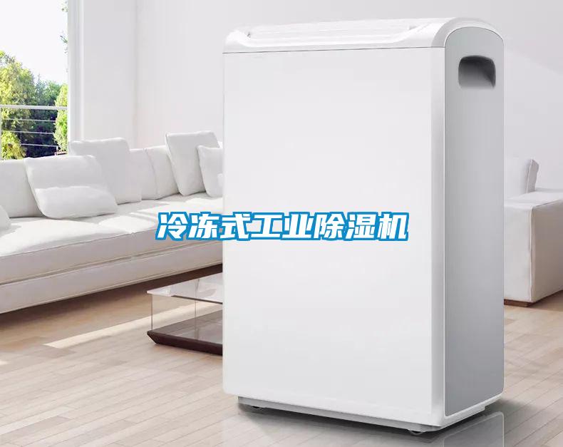 冷冻式工业香蕉视频国产APP下载机