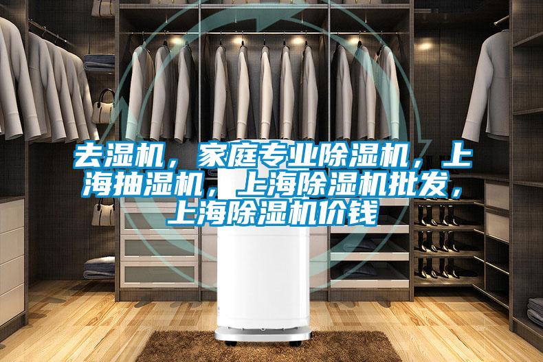 去湿机，家庭专业香蕉视频国产APP下载机，上海抽湿机，上海香蕉视频国产APP下载机批发，上海香蕉视频国产APP下载机价钱