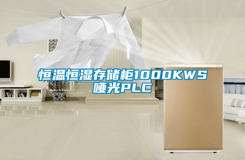 恒温恒湿存储柜1000KWS哑光PLC