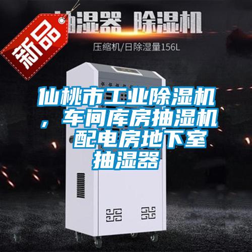 仙桃市工业香蕉视频国产APP下载机，车间库房抽湿机  配电房地下室抽湿器