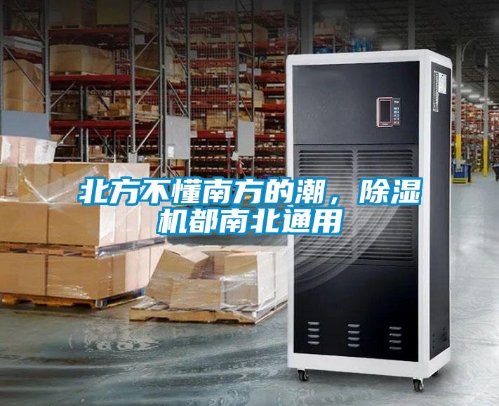 北方不懂南方的潮，香蕉视频国产APP下载机都南北通用